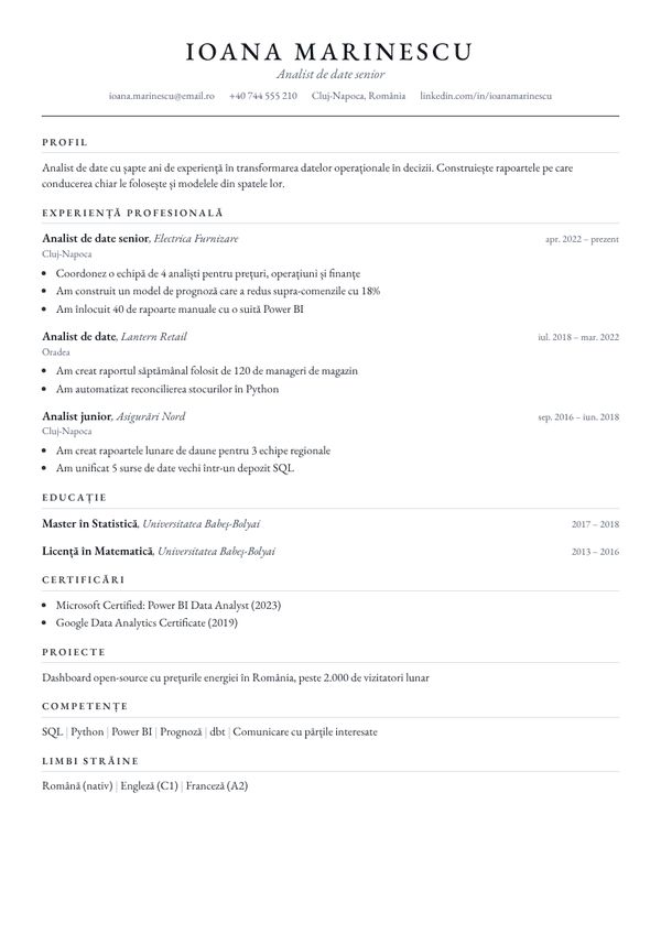 Șablon CV Executiv